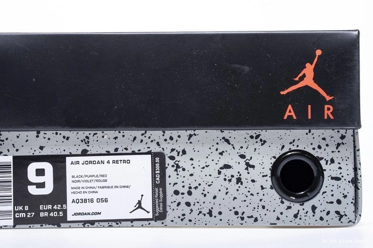 Jordan AQ3816-056 4 Air Raptors 0104